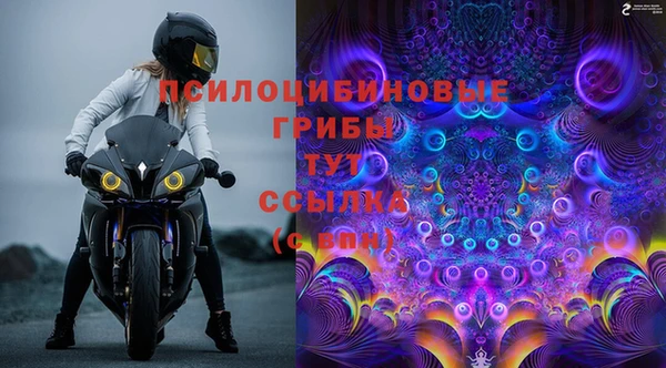гидропоника Алексеевка