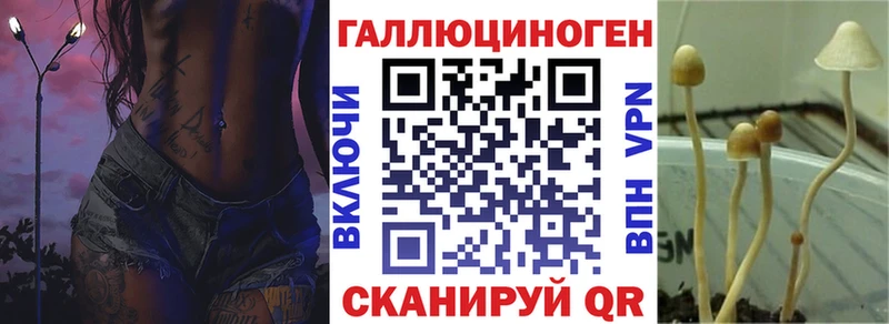 наркота  Ленинск-Кузнецкий  Псилоцибиновые грибы Psilocybine cubensis 